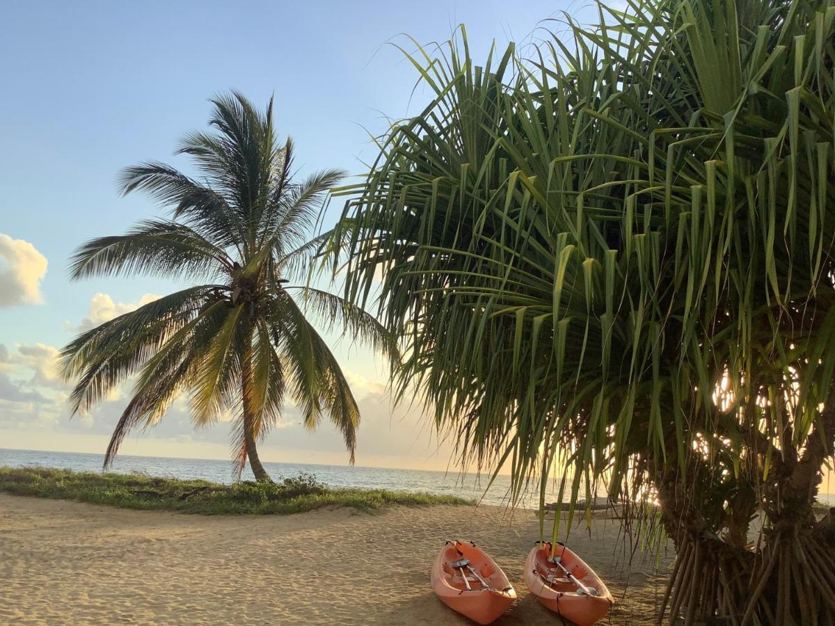 Emayani Beach Lodge Pangani Zewnętrze zdjęcie