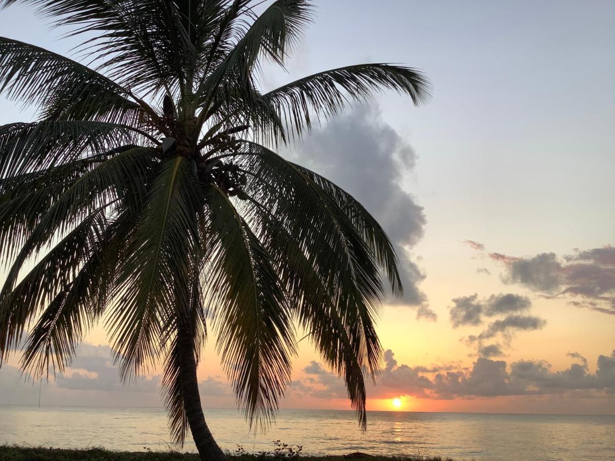 Emayani Beach Lodge Pangani Zewnętrze zdjęcie