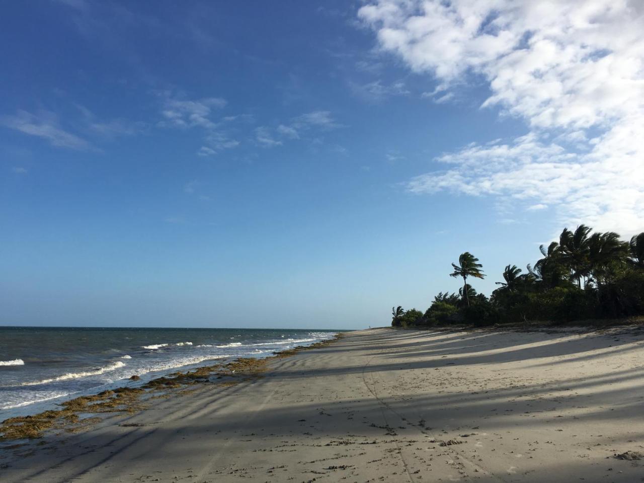 Emayani Beach Lodge Pangani Zewnętrze zdjęcie